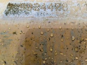 Liebherr Hoist Cylinder